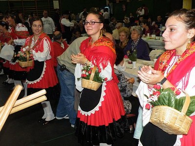 Trois " Fleurs du Portugal"