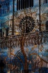 DSC01102.jpg
