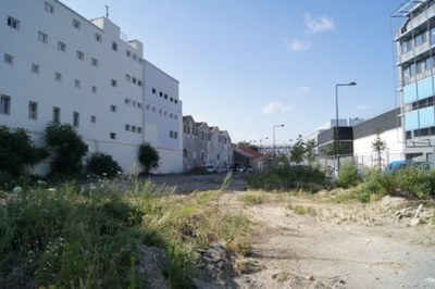 DSC06542.JPG