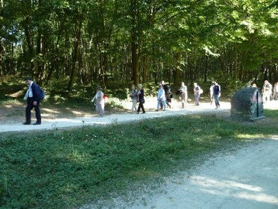 09.JPG