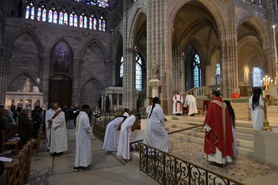 ZDS_5457.jpg