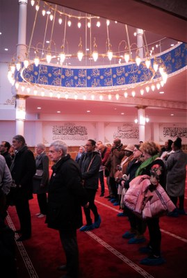 DSC08313 (2).jpg