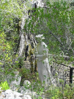 DSC05650